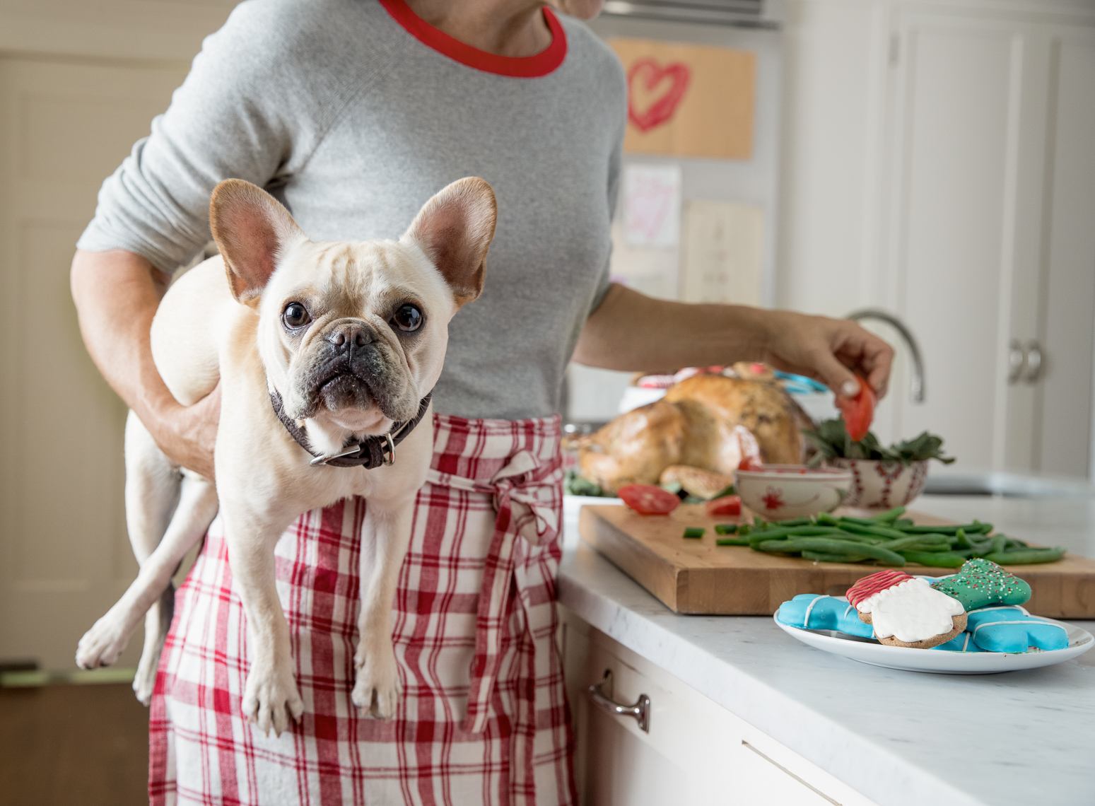 website_lifestyle-P87_SR100589_PS_20160908_Holiday-Dog-Feasting-1_08683